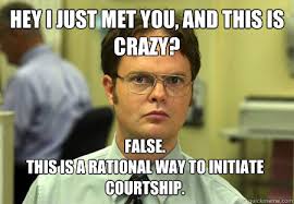 "Hey I just met you, and this is crazy? False. This is a rational way to initiate courtship" Dwight Schrute.