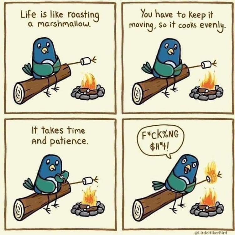 Life is like roasting a marshmallow. You have to keep it moving, so it cooks evenly. It takes time and patience. (marshmallow catches on fire) F***ing S***.