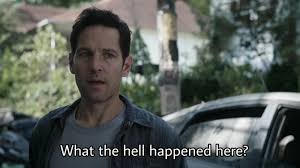 Ant-Man asking "what the hell happened here" because he was trapped in the Quantum Zone