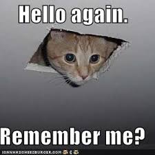 A cat looking down from a hole in the ceiling "Hello again. Remember me?"