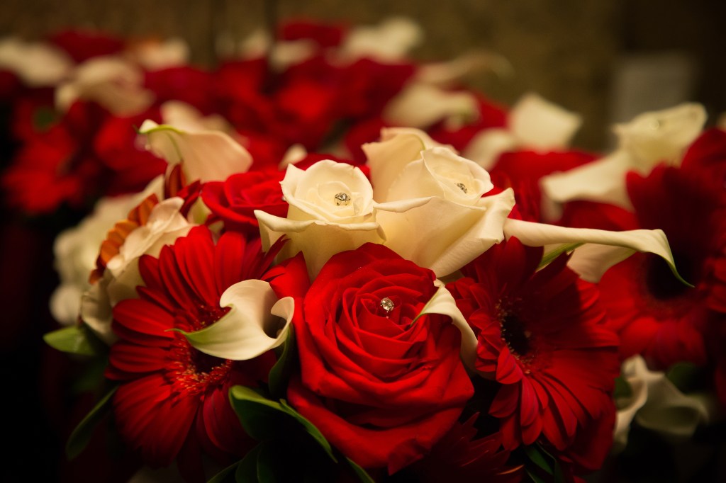 a bouquet of flowers, red and white (roses and gerber daisies)