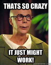 "That's so crazy, it just might work"