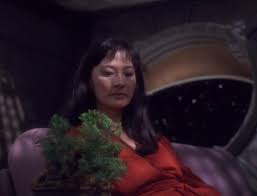 Keiko looking at a plant.