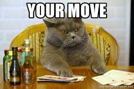 A cat playing poker with the words "your move" at the top