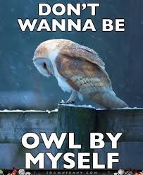 don't wanna be owl by myself