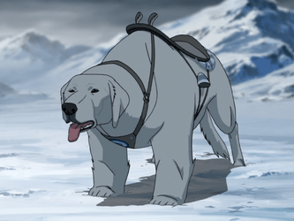 Naga, the polar bear-dog