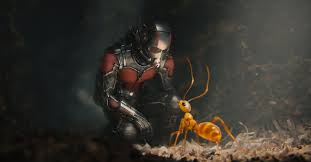 ant-man in suit looking at one of the ants