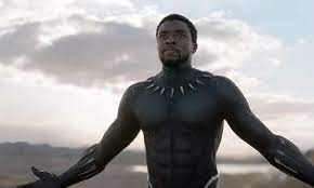 chadwick boseman as the black panther
